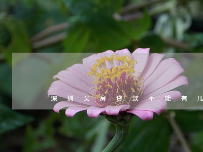 深圳买房贷款不能有几个逾期 深圳买房贷款不能有几个逾期