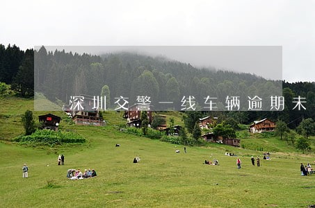 深圳交警一线车辆逾期未年检上路 深圳交警一线车辆逾期未年检上路