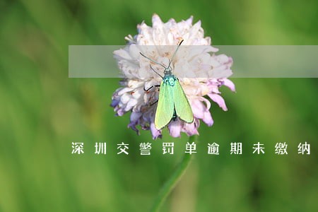 深圳交警罚单逾期未缴纳罚款 深圳交警罚单逾期未缴纳罚款
