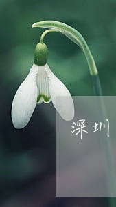 深圳交通事故律师免费咨询 深圳交通事故律师免费咨询