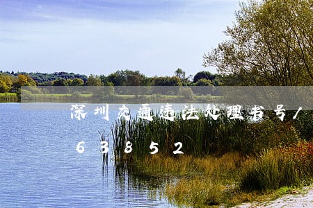 深圳交通违法处理书号/2023020363852