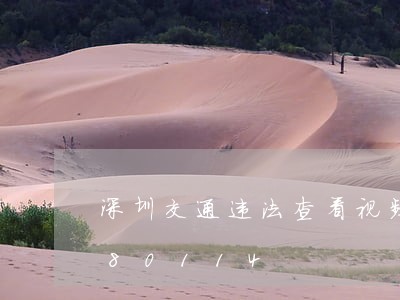 深圳交通违法查看视频/2023020580114 深圳交通违法查看视频/2023020580114