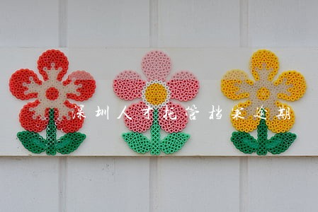 深圳人才托管档案逾期 深圳人才托管档案逾期