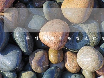 深圳代缴社保违法行为有哪些 深圳代缴社保违法行为有哪些