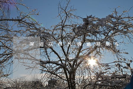 深圳以租代购逾期拖车