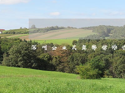 深圳企业反舞弊律师咨询 深圳企业反舞弊律师咨询