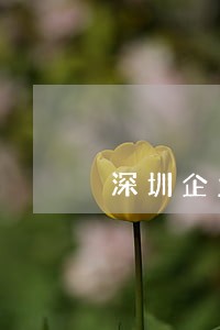 深圳企业所得税年不逾期怎么报 深圳企业所得税年不逾期怎么报