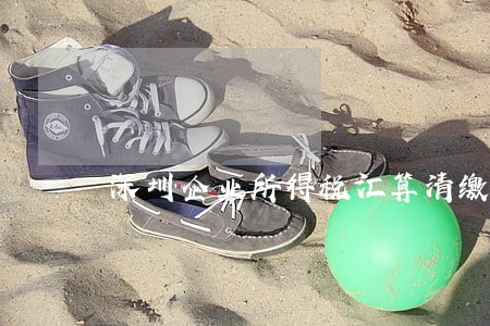 深圳企业所得税汇算清缴逾期申报 深圳企业所得税汇算清缴逾期申报