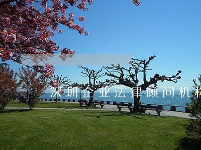 深圳企业法律顾问机构 深圳企业法律顾问机构