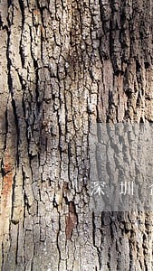 深圳企业法律顾问费用标准 深圳企业法律顾问费用标准