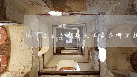 深圳企业逾期拖欠工资在哪里投诉