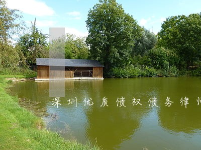 深圳优质债权债务律师单位 深圳优质债权债务律师单位