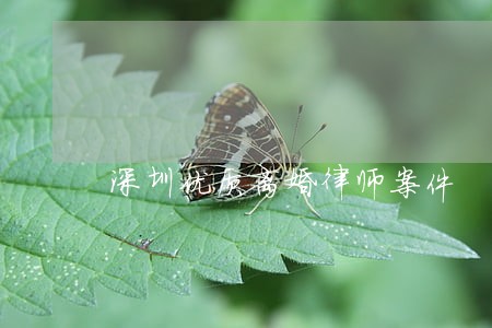 深圳优质离婚律师案件 深圳优质离婚律师案件