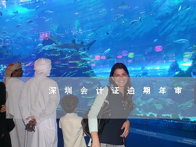 深圳会计证逾期年审 深圳会计证逾期年审