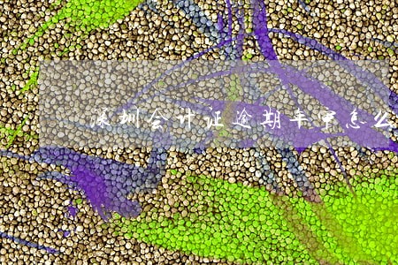 深圳会计证逾期年审怎么办 深圳会计证逾期年审怎么办