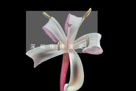 深圳伤残鉴定 深圳伤残鉴定