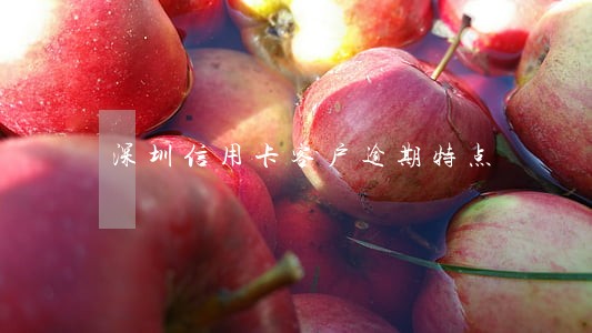 深圳信用卡客户逾期特点