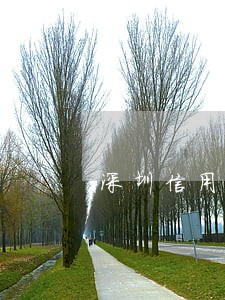 深圳信用卡网贷都逾期 深圳信用卡网贷都逾期