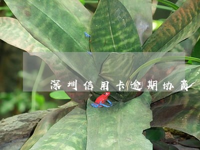 深圳信用卡逾期协商 深圳信用卡逾期协商