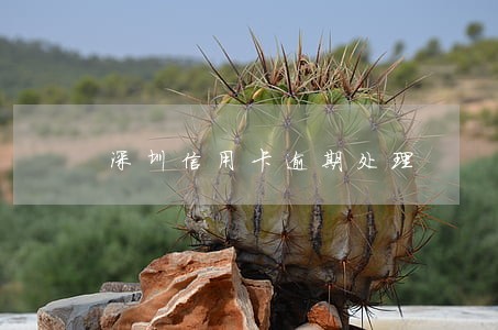 深圳信用卡逾期处理 深圳信用卡逾期处理