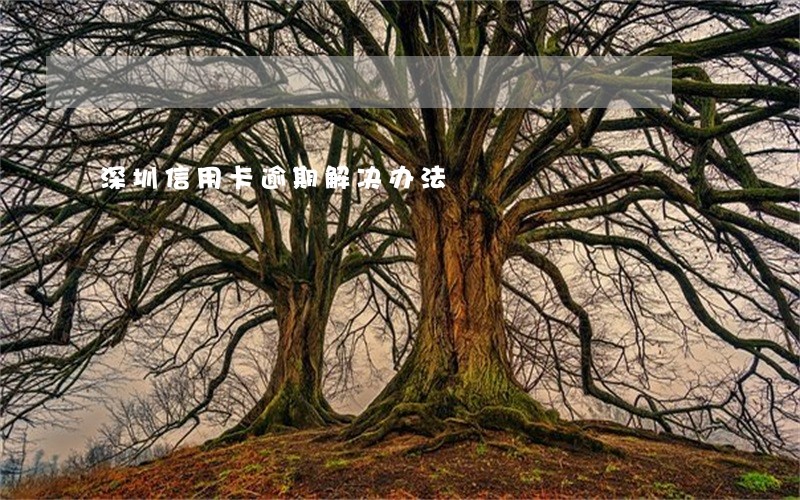 深圳信用卡逾期解决办法 深圳信用卡逾期解决办法