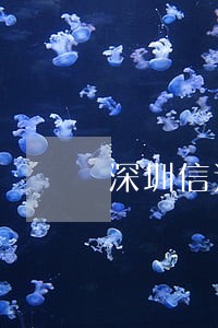 深圳信达小贷逾期 深圳信达小贷逾期
