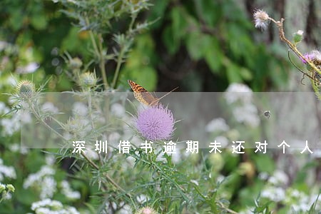 深圳借书逾期未还对个人信用 深圳借书逾期未还对个人信用