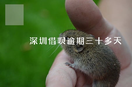 深圳借呗逾期三十多天 深圳借呗逾期三十多天