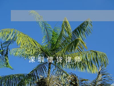 深圳借贷律师 深圳借贷律师