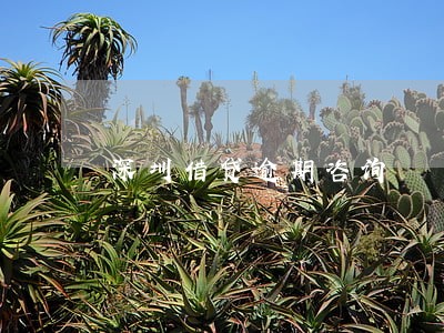 深圳借贷逾期咨询