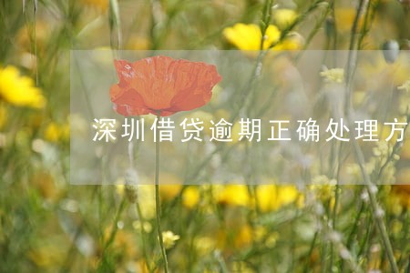 深圳借贷逾期正确处理方案 深圳借贷逾期正确处理方案