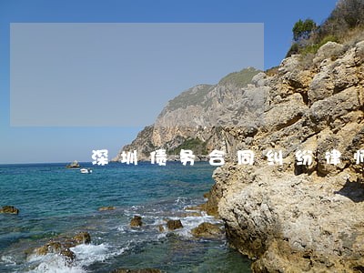 深圳债务合同纠纷律师 深圳债务合同纠纷律师