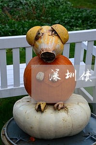 深圳债务商账催收律师 深圳债务商账催收律师