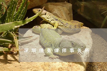 深圳债务律师事务所 深圳债务律师事务所
