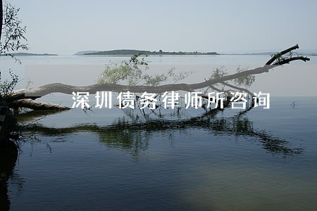 深圳债务律师所咨询 深圳债务律师所咨询