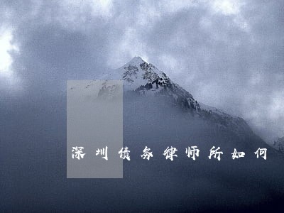 深圳债务律师所如何 深圳债务律师所如何