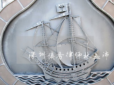 深圳债务律师林益沛 深圳债务律师林益沛