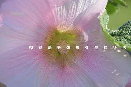 深圳债务清欠律师在线咨询经验多