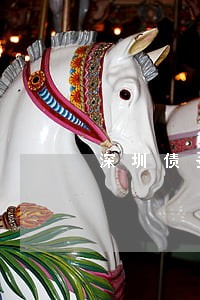 深圳债务纠纷律师问题 深圳债务纠纷律师问题