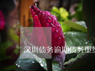 深圳债务逾期债务重组方式 深圳债务逾期债务重组方式