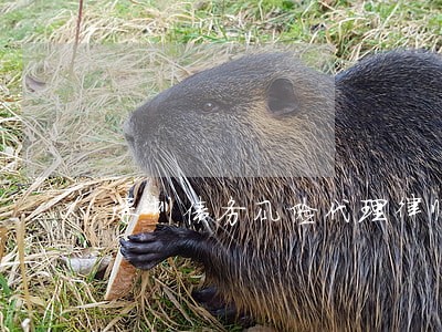 深圳债务风险代理律师怎么收费 深圳债务风险代理律师怎么收费