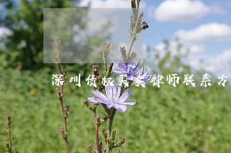 深圳债权买卖律师联系方式 深圳债权买卖律师联系方式