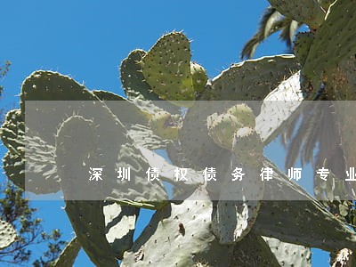深圳债权债务律师专业咨询 深圳债权债务律师专业咨询
