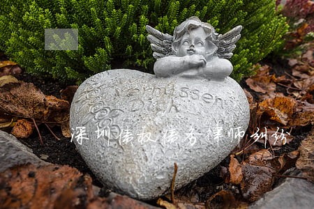深圳债权债务律师纠纷 深圳债权债务律师纠纷