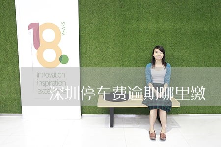 深圳停车费逾期哪里缴 深圳停车费逾期哪里缴