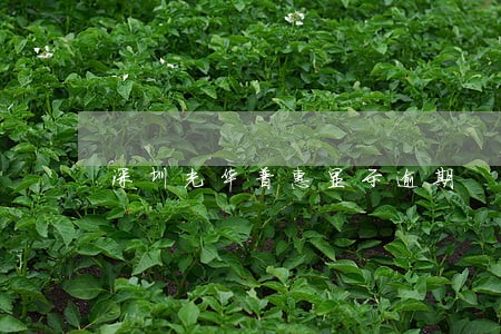 深圳光华普惠显示逾期 深圳光华普惠显示逾期