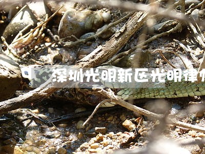 深圳光明新区光明律师