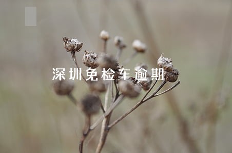 深圳免检车逾期