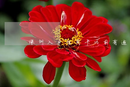 深圳入户信用卡以前有逾期 深圳入户信用卡以前有逾期