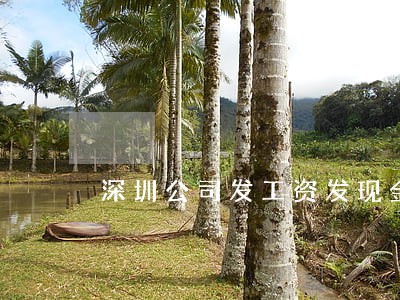 深圳公司发工资发现金是否违法 深圳公司发工资发现金是否违法